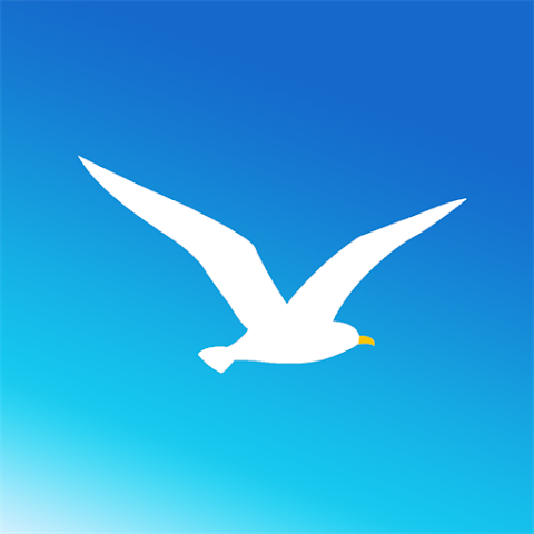 海鸥手表官方旗舰店官网